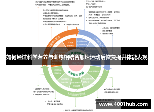 如何通过科学营养与训练相结合加速运动后恢复提升体能表现