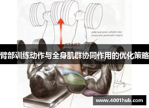 臂部训练动作与全身肌群协同作用的优化策略