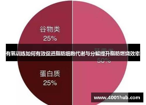 有氧训练如何有效促进脂肪细胞代谢与分解提升脂肪燃烧效率